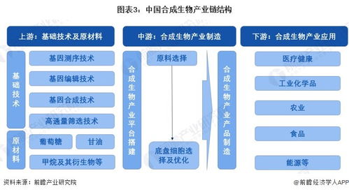 2024年中國合成生物產業全景圖譜 規模、布局與技術路線解析